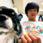 フィッシャーズペット紹介！犬のチクワがかわいい！
